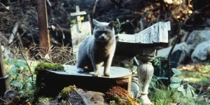 Horrific Inquiry: PET SEMATARY (1989)