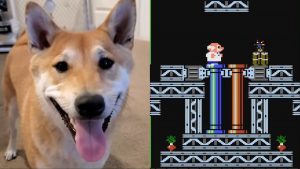 A Dog Named Peanut Butter Just Beat an Obscure NES Puzzle Game