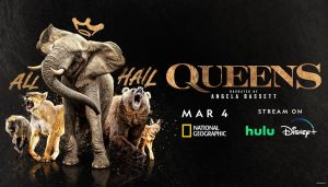 Link Tank: National Geographic’s ‘Queens’ Brings a Female Focus to Natural History Docuseries
