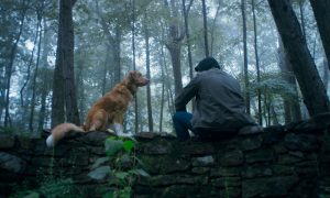 Indie Review: GOOD BOY