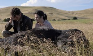 Indie Review: IN VITRO