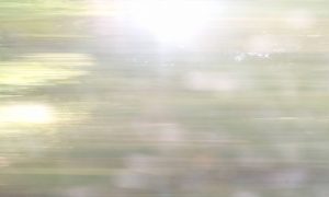 The Last Movie Outpost Goes To The Cinema