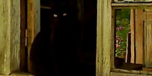 NYFF63: Dry Leaf, Back Home + Ecce Mole, Put Your Soul on Your Hand and Walk