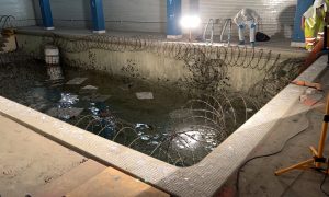 Indie Review: STRANGE HARVEST