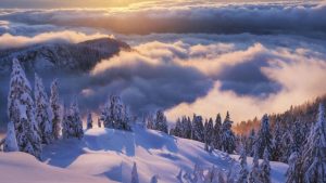 12 Photos Where the Natural World is On its Fullest Display